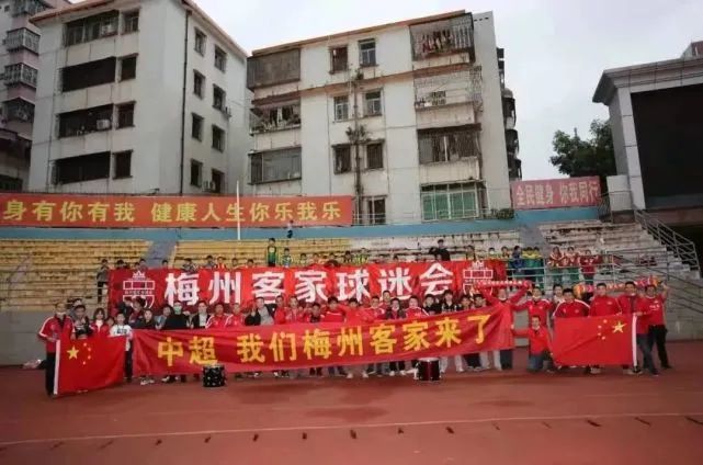 龙月泰剧电视剧全集免费观看