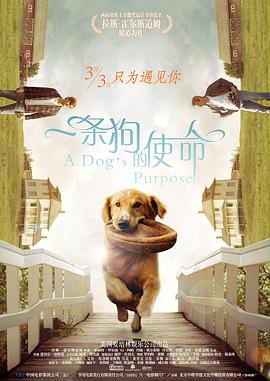 恋爱成人俱乐部