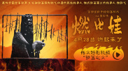 国产拳王周晓琳全集在线观看