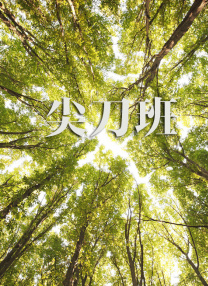 又黄又湿视频
