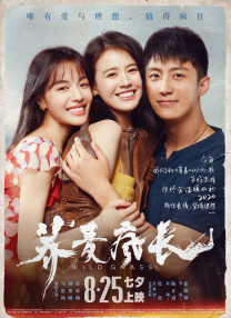兴奋的歌词助手