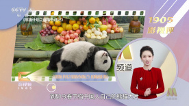 欧美一级大片免费观看